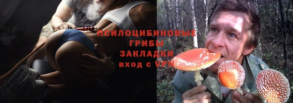 mdpv Верея