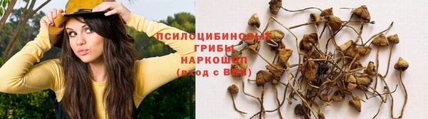 марки lsd Бугульма
