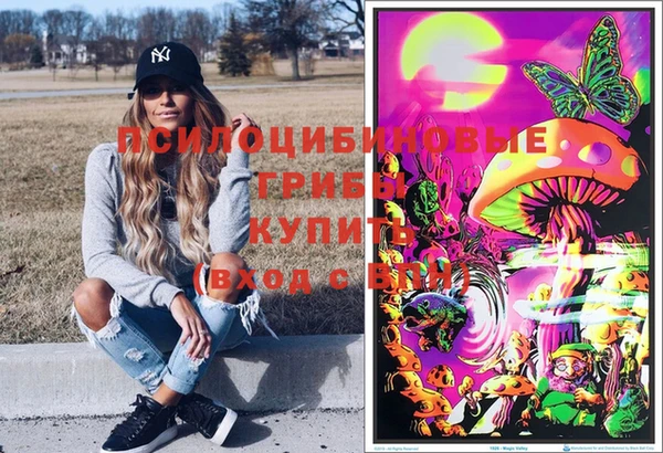 mdpv Верея